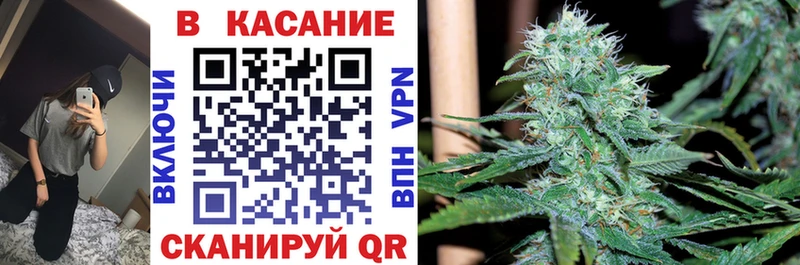 Гашиш Сураж