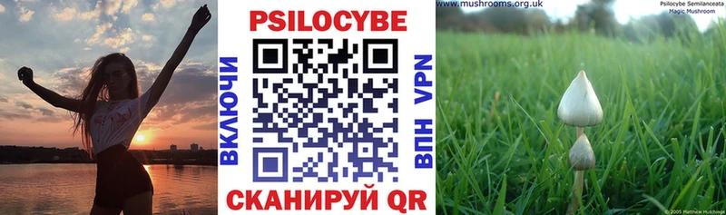 Псилоцибиновые грибы прущие грибы  мега зеркало  Сураж 