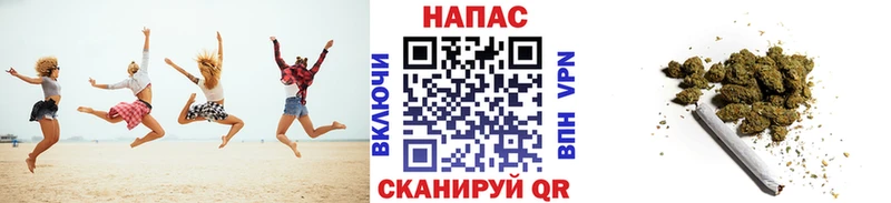Бошки Шишки SATIVA & INDICA  где купить наркоту  Сураж 